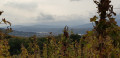 Les vignobles d'Ampuis Les vignobles d'Ampuis