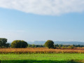 Vue sur la vallée Vue sur la vallée