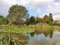 Anneau vert de Feignies Anneau vert de Feignies