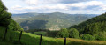 La Tourbière de la Grande Charme La Tourbière de la Grande Charme