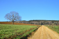 La Croix Piot au départ de Wadelincourt La Croix Piot au départ de Wadelincourt