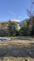 Mont Ventoux par les Grands Pins et le sentier pédagogique Henry Fabre
