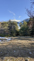 Mont Ventoux par les Grands Pins et le sentier pédagogique Henry Fabre Mont Ventoux par les Grands Pins et le sentier pédagogique Henry Fabre