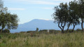Vue sur le Ventoux Vue sur le Ventoux