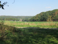 Campagne et forêt dans le Brabant autour de Pécrot-Nethen