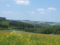 Sérénité dans les bois aux alentours de Cornimont Sérénité dans les bois aux alentours de Cornimont