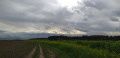 Vue sur les champs de colza Vue sur les champs de colza
