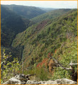 vue sur les gorges du Viaur vue sur les gorges du Viaur