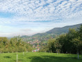 Panoramas autour de Sasbachwalden Panoramas autour de Sasbachwalden