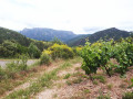 Les Gorges de l'Orb au départ de Ceps Les Gorges de l'Orb au départ de Ceps