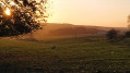 Bois d'Arville et Bois des Pauvres Bois d'Arville et Bois des Pauvres