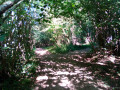Bois de Chalmet et Petite Montagne Bois de Chalmet et Petite Montagne