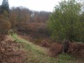 Etang du Cul de l'Oie Etang du Cul de l'Oie